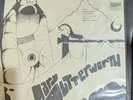 MARY BUTTERWORTH Self Titled s/t st LP REISSUE psychedelic rock psych acid