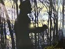 Phil Keaggy- Beyond Nature  SUPER RARE SIGNED LP