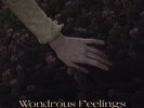 Settima Tacca - Wondrous Feelings Of Ages Long Gone [New Vinyl LP]