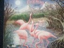 Führs & Fröhling LP Strings Brain 1979