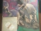 Wolfman jack autograph Denver airport summer 1979 lp combo