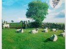 The KLF - Chill Out [JAMS LP5] First Pressing Ambient Vinyl LP - Jimmy Cauty