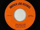 Northern/Deep Soul 45 - Bobby Strickland - After All - Brother Love