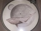Gojira ‎– From Mars To Sirius Vinyl 2xLP - Picture Disc Limited