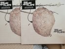Sky Eats Airplane Clear W/ White & Grey Splatter • In-Hand