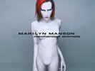 Marilyn Manson - Mechanical Animals 2LP Black Vinyl Official 2023 Recalled *NEW*