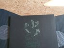 Cultes Des Ghoules-henbane-2xvinyl-near Mint-black Metal-HELLS LP 099