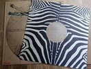 Dr Dopo Jam LP Entree German Zebra 1st Press INCREDIBLE AUDIO KRAUT JAZZY PROG #