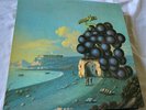 Moby Grape, WOW vinyl LP in gatefold sleeve, 1968