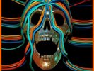 Osees Intercepted Message (Vinyl) 12