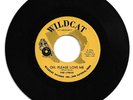 DOO WOP 45 THE LYRICS OH PLEASE LOVE ME ON WILDCAT  VG++  ORIGINAL