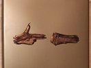 Run The Jewels – RTJ Stay Gold Collectors Box