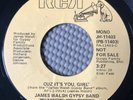 James Walsh Gypsy Band - CUZ IT’S YOU GIRL 1978 Soul 45 Mono/Stereo Promo NM