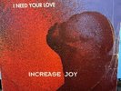 Increase joy - i need your love 12