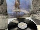 Toto - Hydra | Japan Pressung LP Vinyl Schallplatte OBI Rock