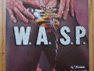 WASP 