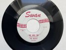 BEATLES 45 She Loves You/Ill Get You SWAN white label red letter rock roll NICE