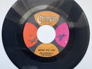 LEE ANDREWS & HEARTS 45 Never The Less/Island Of Love CRIMSON 1009 northern soul