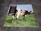 Pink Floyd Atom Heart Mother LP Remastered new Sealed Vinyl