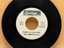 Promo The Amboy Dukes - Flight Of The Byrd 45Rpm Psychedelic Rock Mainstream