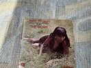 JIMMY MCGRIFF ORGAN & BLUES BAND THE WORM LP '68 SOLID STATE RARE SOUL JAZZ FUNK