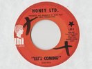 HONEY LTD. Eli's Coming / Silk n Honey 45 RECORD LEE HAZLEWOOD NEAR MINT DJ