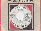 Nancy Wilcox Coming On Strong Rca Demo Soul Northern Motown
