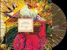 GENGHIS TRON - 'Board Up The House' LP (Rainbow Splatter)