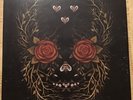 The Young Widows In And Out Of Youth And Lightness Vinyl LP Record Album