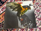 Budgie ‎In For The Kill  UK 1974 Vinyl MCA Records