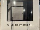 Sam Fender Wild Grey Ocean/Little Bull Of Blithe 7” White Vinyl RSD 2023 - NEW