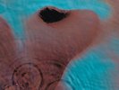 Pink Floyd - Meddle [New Vinyl LP] Gatefold LP Jacket, 180 Gram