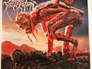 CATTLE DECAPITATION – TERRASITE - VINYL LP PURPLE W/PINK MARBLE VG+ - Z