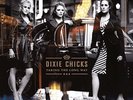 Dixie Chicks - Taking The Long Way - Vinyl Record 2LP