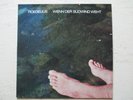 ROEDELIUS: Wenn Der Südwind Weht – LP - GER 1981 SKY RECORDS Ambient/Electronic