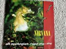 Nirvana-All Apologies Rape Me MV 7