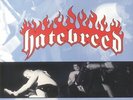 HATEBREED - Satisfaction Is The Death Of Desire (reissue) - Vinyl (LP + insert)