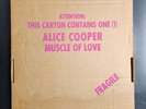 Alice Cooper Muscle of Love LP 1978 Vinyl BS 2748 Warner Bros Records Complete