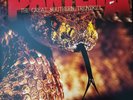 Pantera Great Southern Trendkill  explicit_lyrics (Vinyl) 