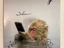 Soul Asylum – Change Of Fortune USED AUTOGRAPHED Vinyl LP