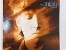 THE TRIFFIDS - 