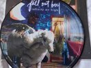 Fall Out Boy Infinity On High Vinyl Picture Disc LP UK Rare