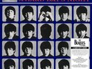 beatles a hard days night mono vinyl