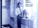 BILLY BANG'S SURVIVAL ENSEMBLE NEW YORK COLLAGE INSANELY RARE ORIG '78 ANIMA LP
