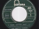 The PRETTY THINGS * I Can Never Say * 1965 BEAT FREAKBEAT GARAGE * J-B French 45