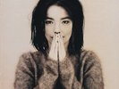Björk - Debut