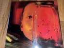 LP Record- Alice in Chains- Jar of Flies Vinyl Very Rare Mofi Sleeve Ultrasonic