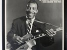 T-BONE WALKER COMPLETE RECORDINGS OF 1940-1954 MOSAIC MR9130 US-PRESS VINYL 9LP