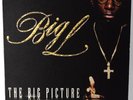 BIG L THE BIG PICTURE 1974 - 1999 Rawkus -1178 Us 2000 Press Original (Vg+/Vg+)