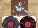 Rolling Stones Fan Club LP